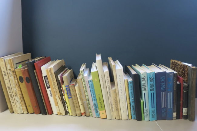 IV-tituline foto-lentyna